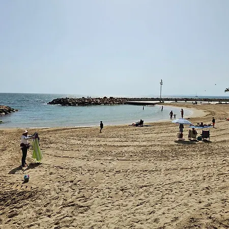 La Goleta Timonel